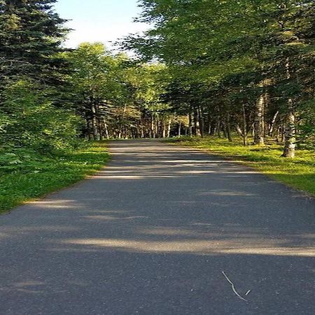 Moose Meadows- Near The Airport, Centrally Located Anchorage Buitenkant foto