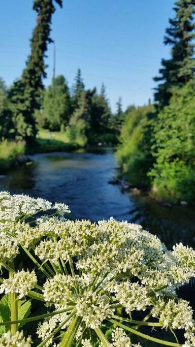 Moose Meadows- Near The Airport, Centrally Located Anchorage Buitenkant foto